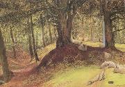 Richard Redgrave,RA Parkhurst Woods,Abinger (mk46) china oil painting artist